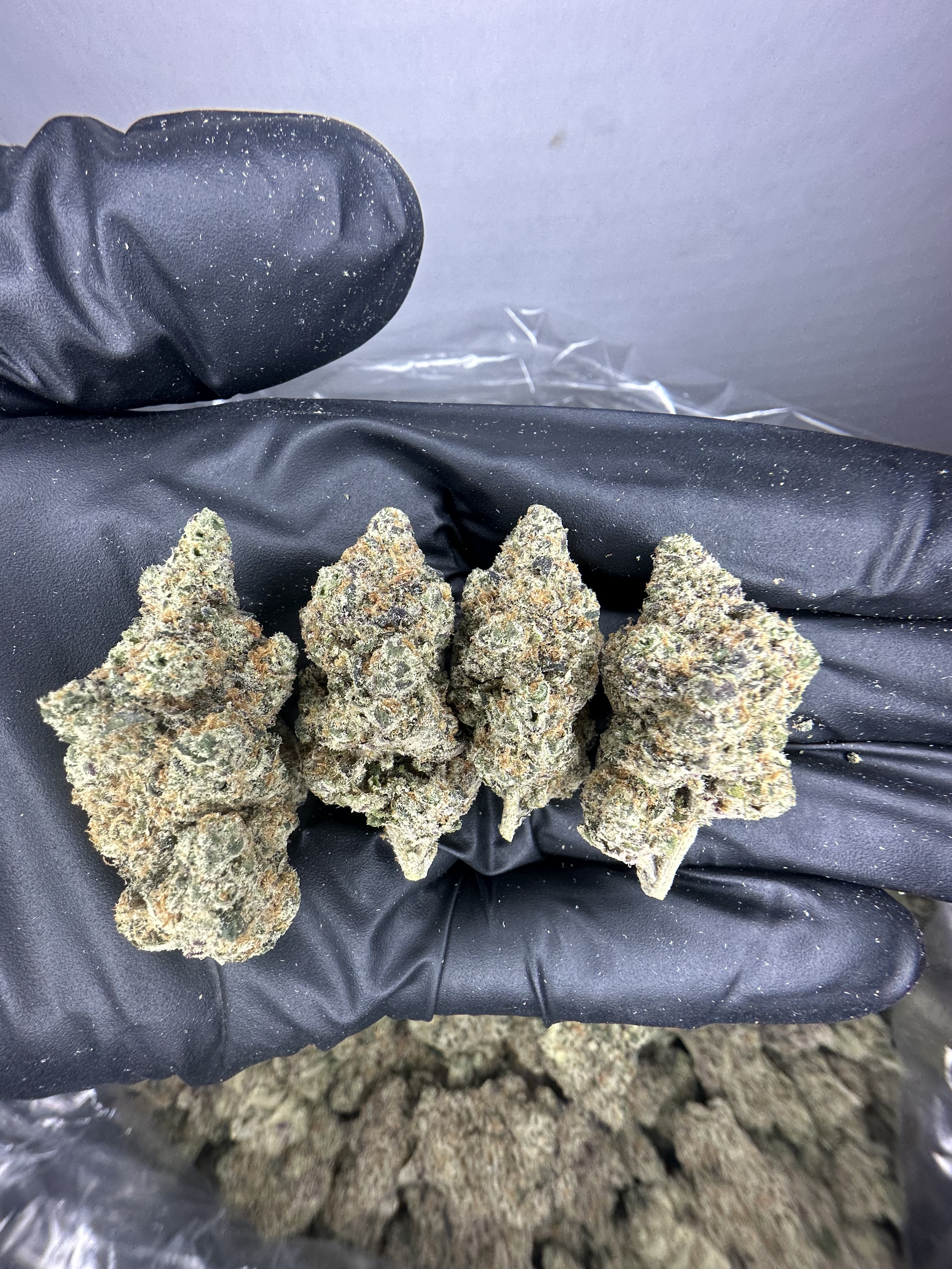 Blue Girl Scout Cookies Flower