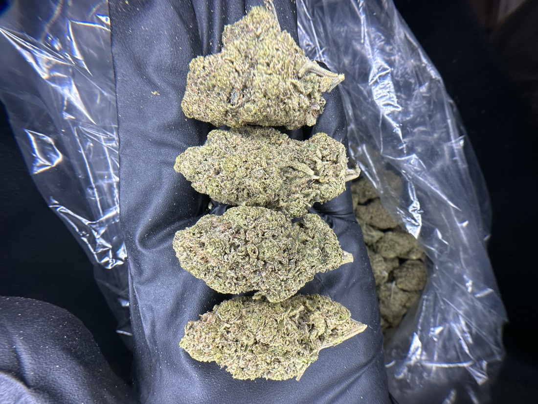 Blueberry Muffins Flower