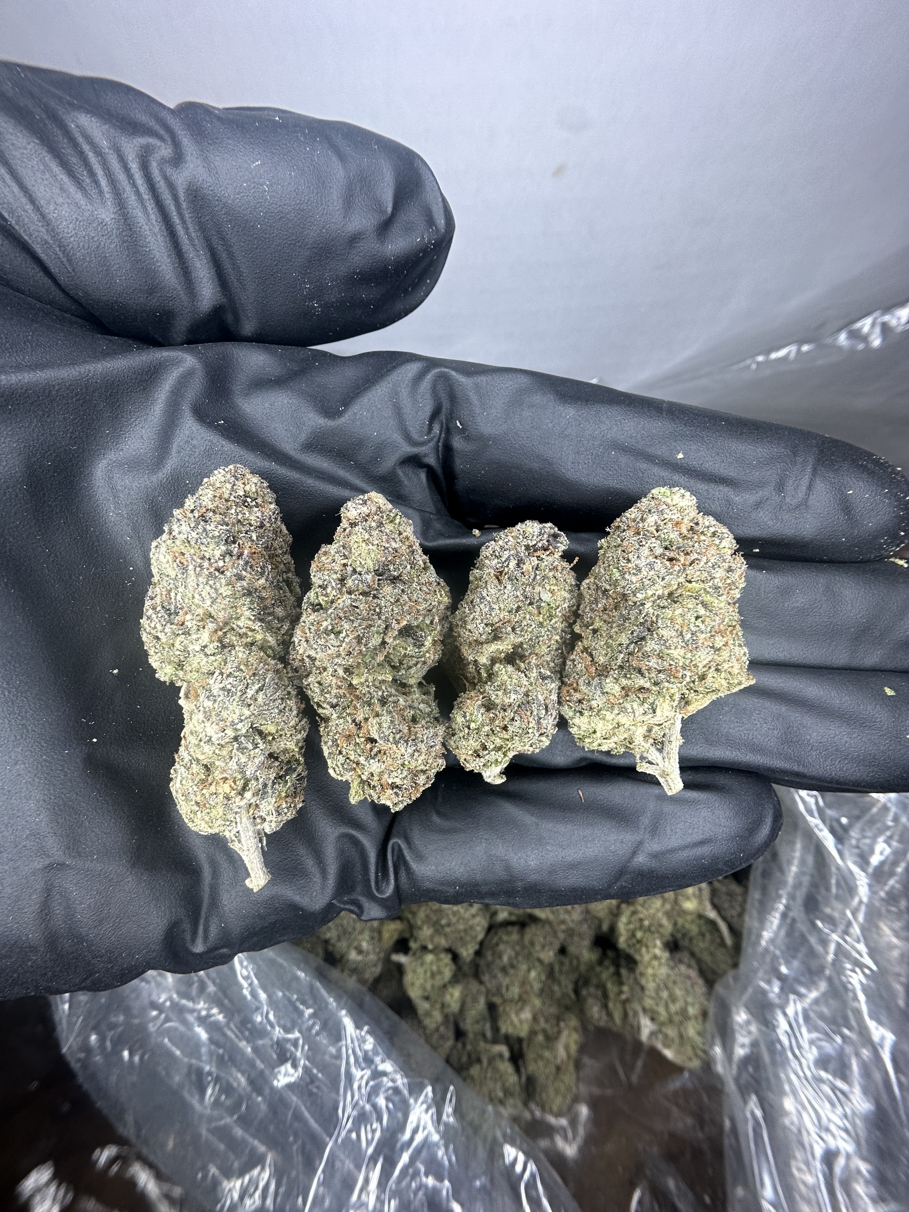 Lemon Berry Gelato Flower