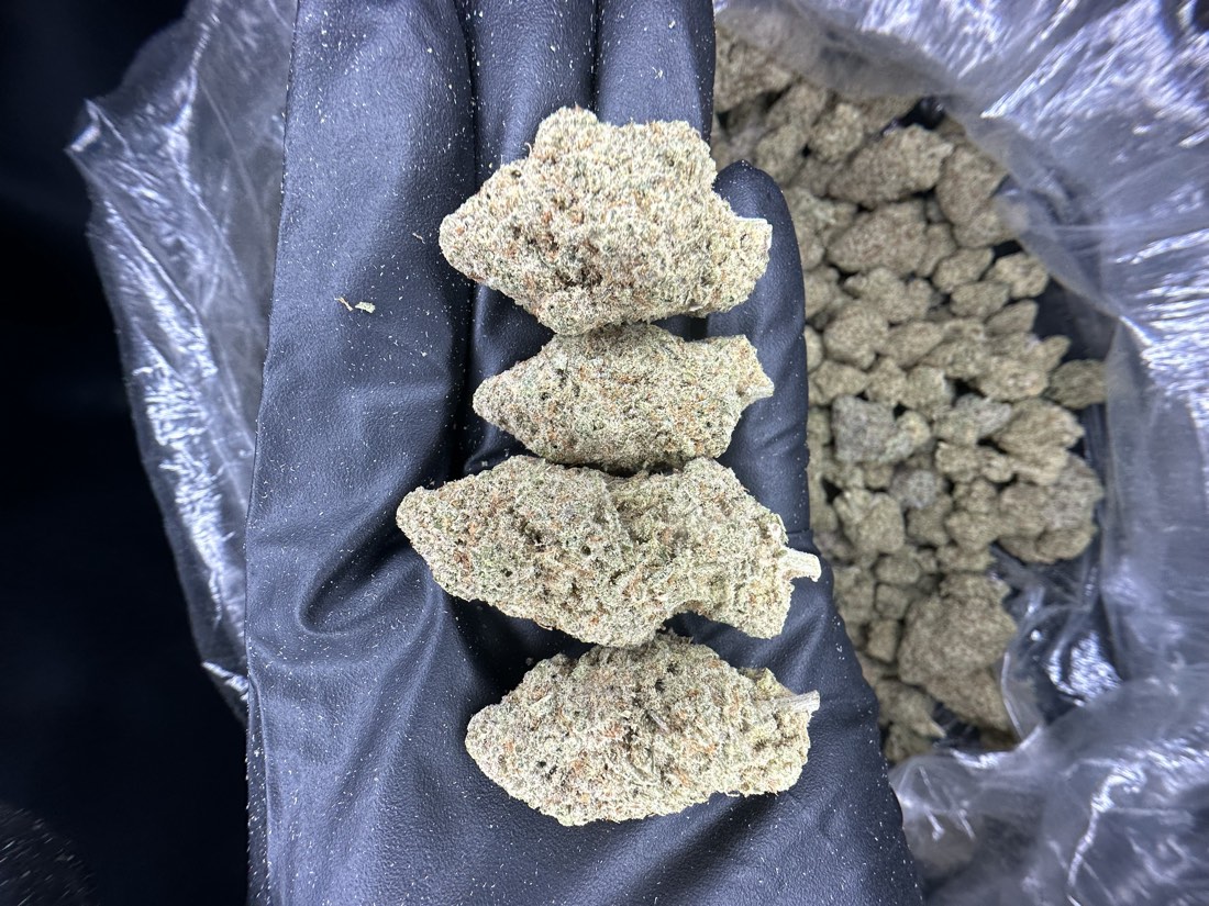 Mac 1 Flower