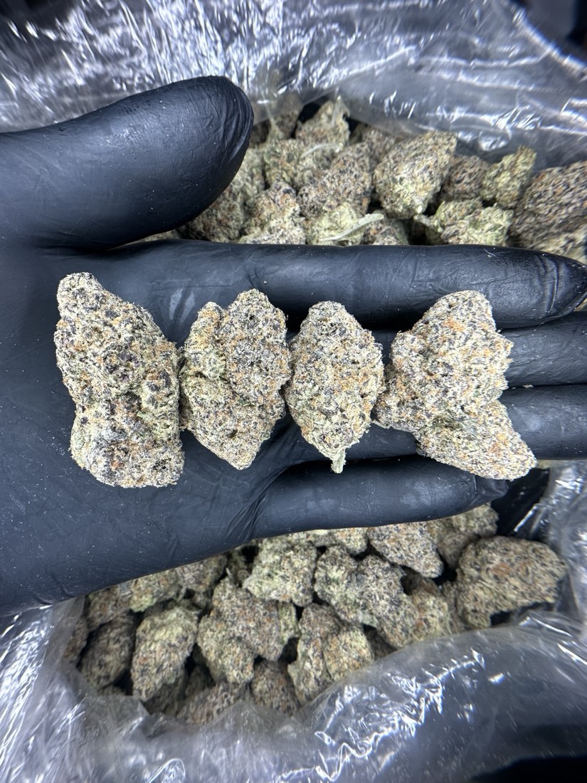 Rainbow Sherbet