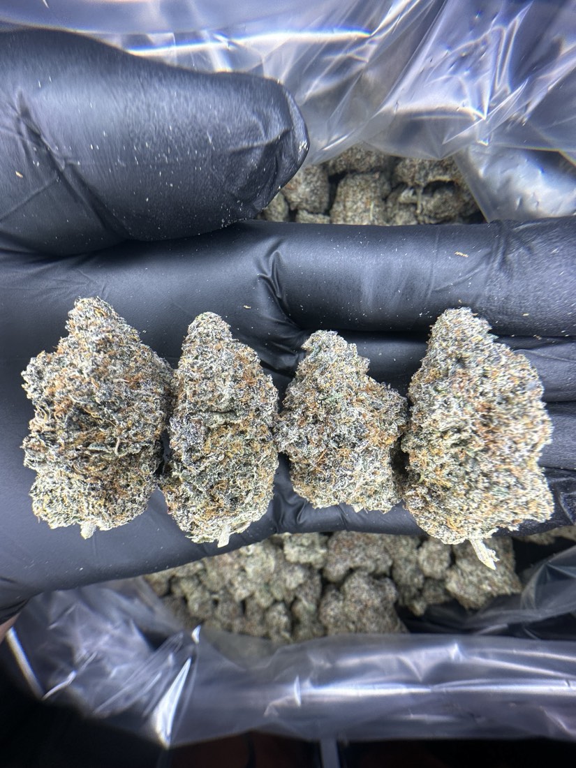 Sticky Bunz
